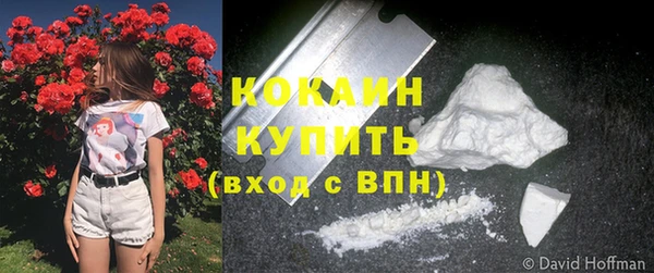 трава Абаза