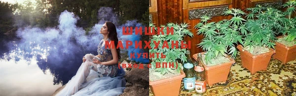 трава Абаза