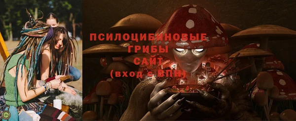 трава Абаза
